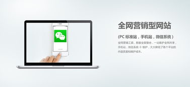 網(wǎng)絡(luò)營銷外包與個(gè)人互聯(lián)網(wǎng)服務(wù) 企業(yè)增長的數(shù)字化雙翼